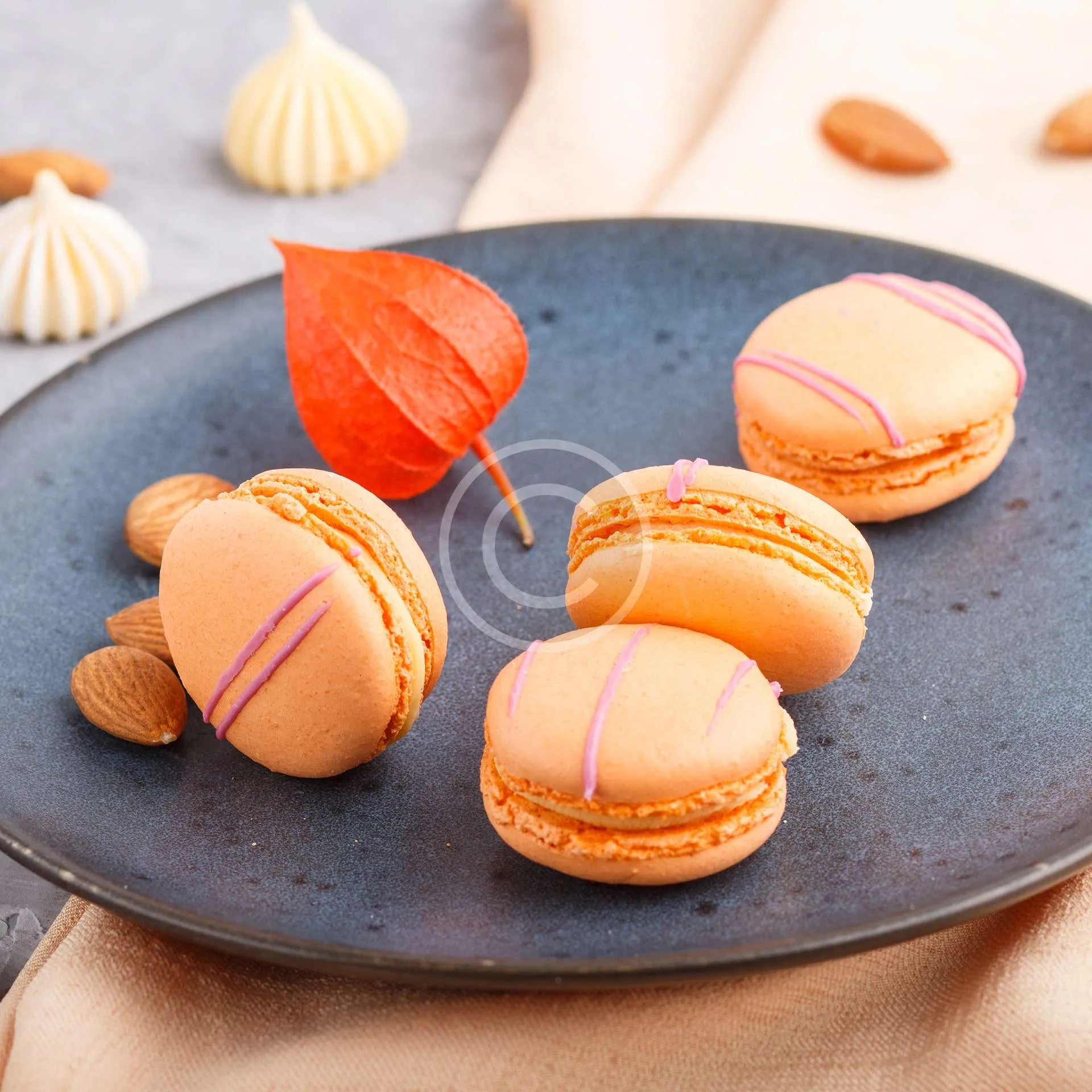 Fall season macarons